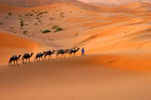 Erg Chebbimorroco 300x198