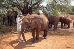 Sheldrick Wildlife Trust Kenya 300x200